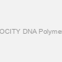 VELOCITY DNA Polymerase